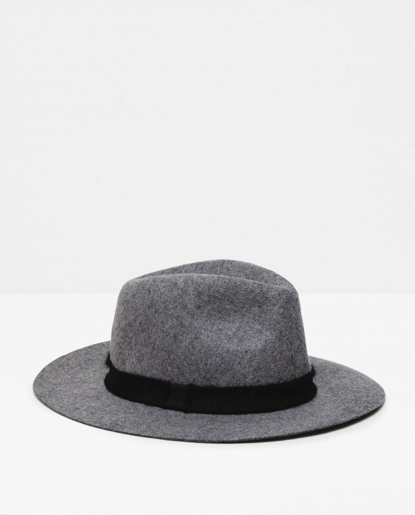 2015 winter Zara hat